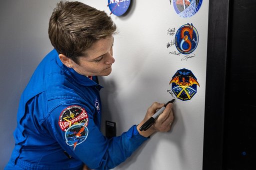 SpaceX Crew 10 Mission Logo Zap the Wall