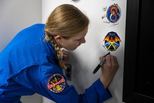 SpaceX Crew 10 Mission Logo Zap the Wall