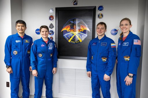 SpaceX Crew 10 Mission Logo Zap the Wall