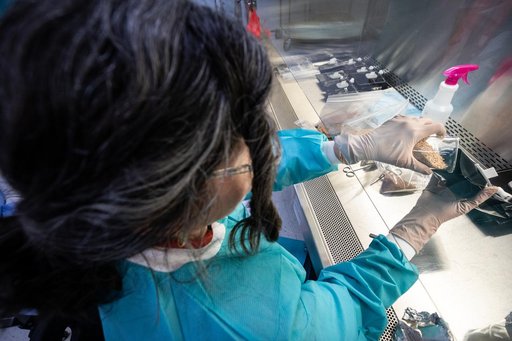 Veggie Team Processes Pillows for Veg-03 MNO Seed Film