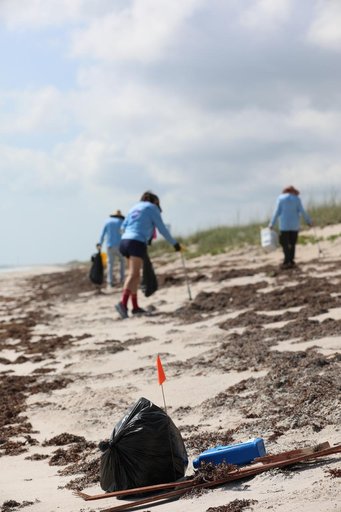SI-E Beach Clean Up and Turtle Nests