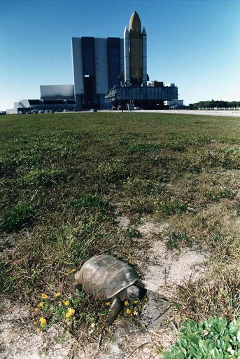 KSC-96pc1344