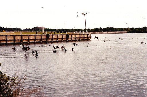 KSC00pp0195