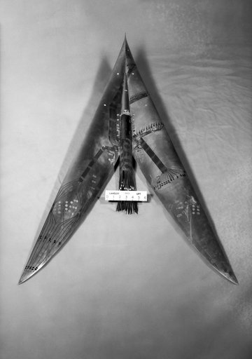Brown Arrow Wing Bomber