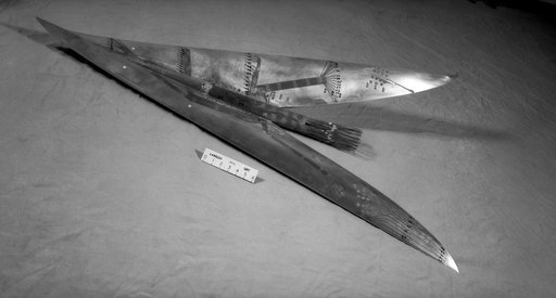 Brown Arrow Wing Bomber