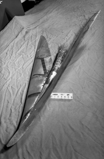 Brown Arrow Wing Bomber