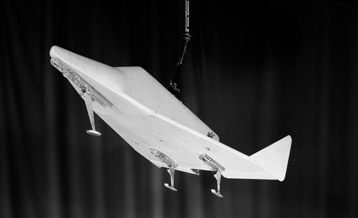 Model of Winged Space Vehicle