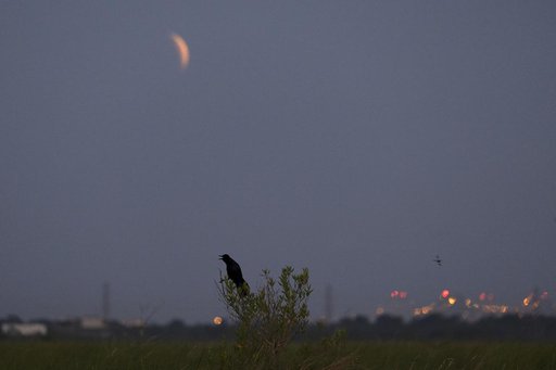 Super Flower Blood Moon over New Orleans