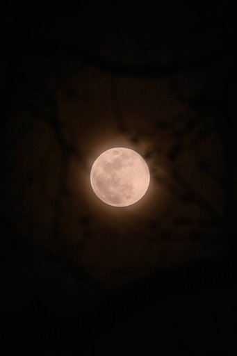 Worm Moon March 2025