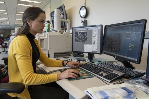 Juliana Neves Monitors Cement Paste Samples