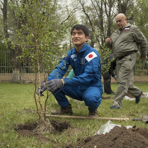 Expedition 55 Landing Preparations