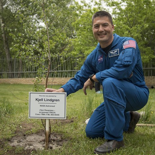 Expedition 55 Landing Preparations