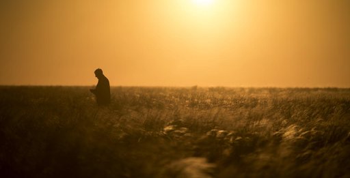 Expedition 55 Soyuz MS-07 Landing