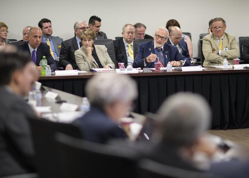 National Space Council Users' Advisory Group