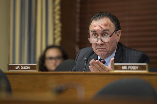 House Hearing on Future LEO Activities