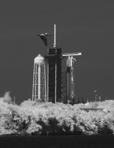 SpaceX Demo-2 Static Fire