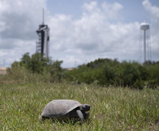 SpaceX Demo-2 Preflight