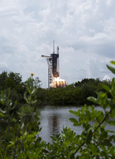 SpaceX Demo-2 Launch