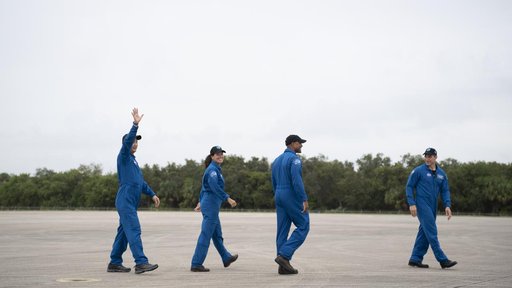 SpaceX Crew-1 Crew Arrival