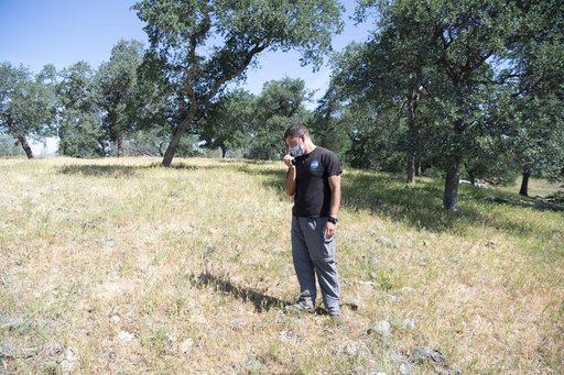 STEReO Field Testing