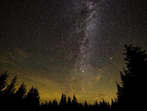 Perseid Meteor Shower