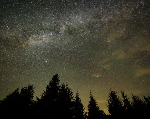 Perseid Meteor Shower