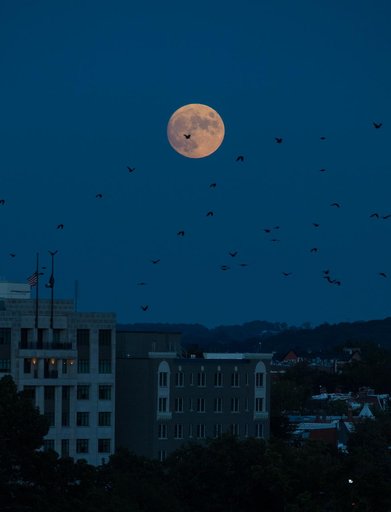 Moonrise Over Washington