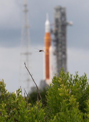 Artemis I Prelaunch