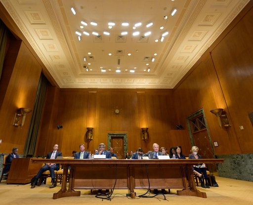 Senate Budget Hearing