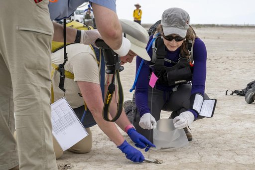 OSIRIS-REx Sample Return Training
