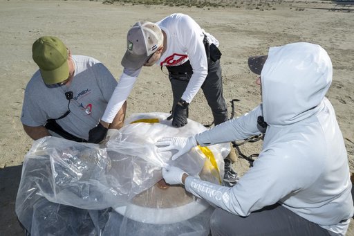 OSIRIS-REx Sample Return Training