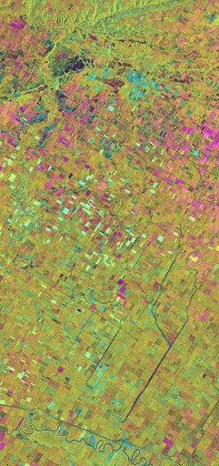Space Radar Image of Altona, Manitoba, Canada