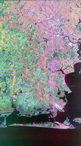 Space Radar Image of Houston, Texas