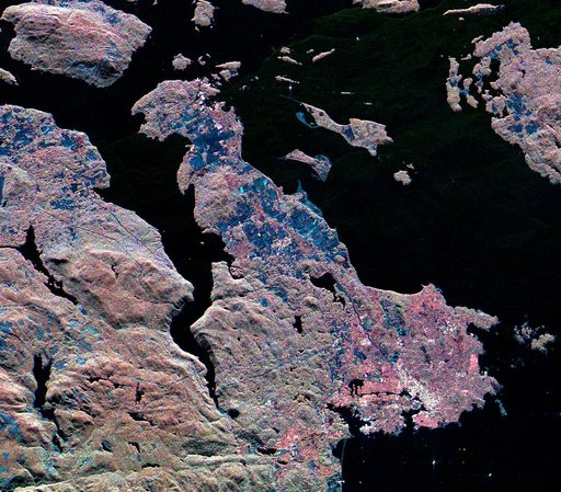 Space Radar Image of Victoria, Canada