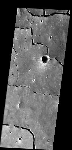 Collapse Features