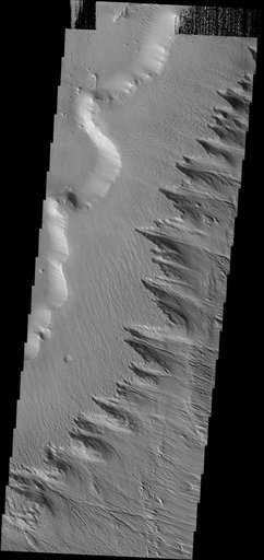Gordii Dorsum