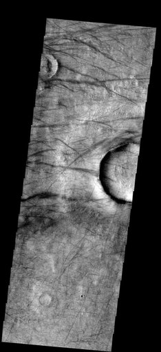 A Dust Devil Playground