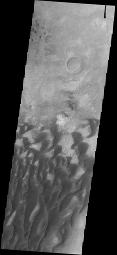 Sand Dunes
