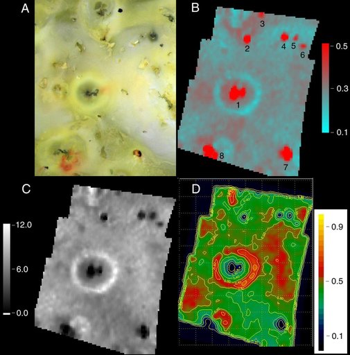 Prometheus Silicates/Sulfur dioxide/NIMS