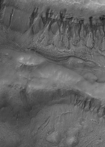 Bi-level Gullies
