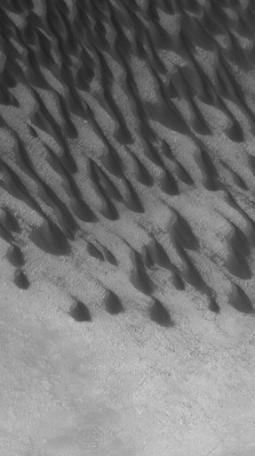 Dunes in Brashear
