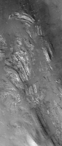 Oudemans Layers