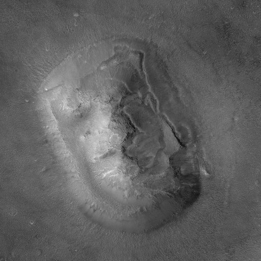 Highest-Resolution View of Face