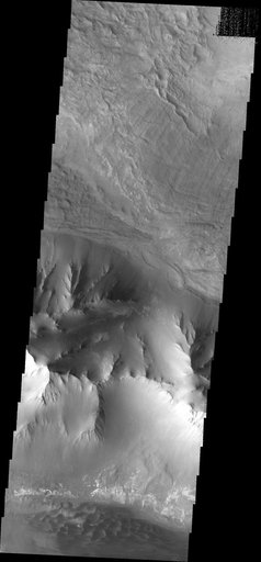 Canyon Variety