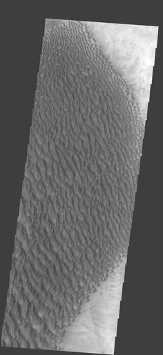 Proctor Cr. Dunes