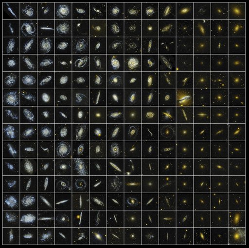 GALEX Distributes Local Galactic Treasures at AAS