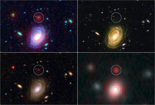 Big Galaxy in Baby Universe