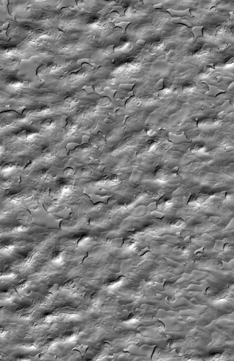 South Polar Cap