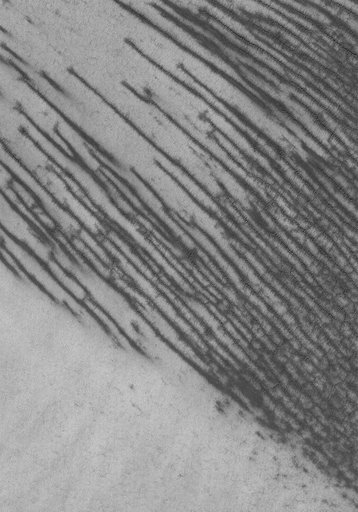 Polar Features
