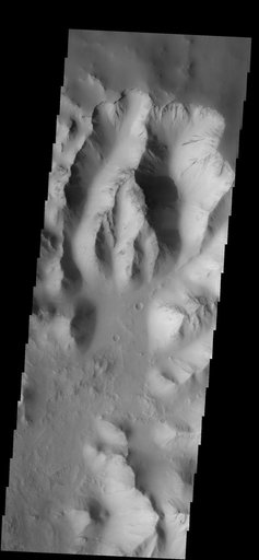 Canyon Dust
